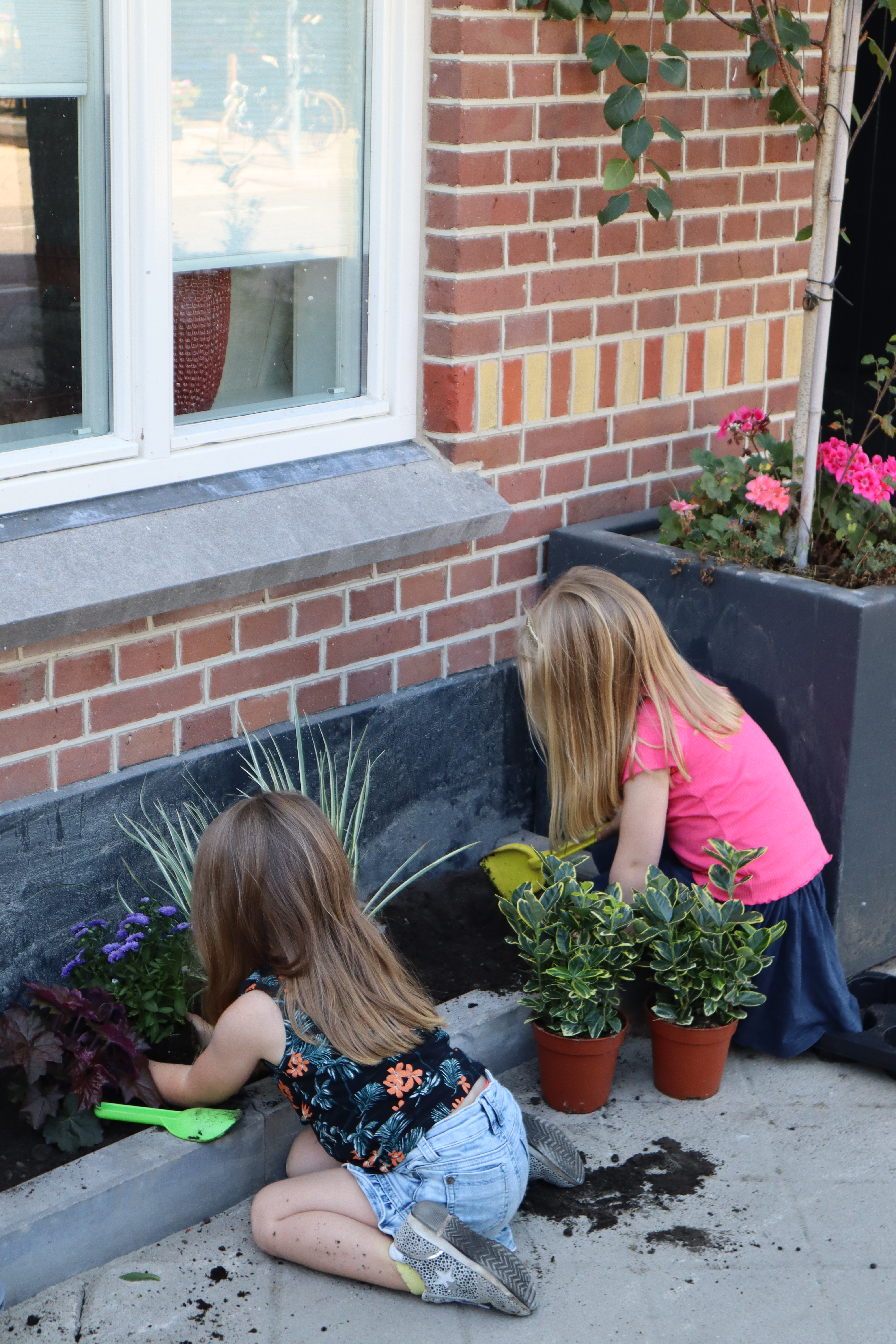Kinderen planten plantjes in een geveltuin
